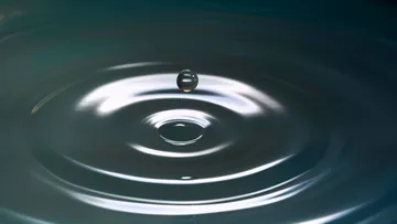 Water droplet falls creating ripples on surface.