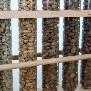 Glass tubes filled with various coffee beans.