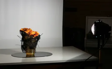 Blumenstrauß mit orangefarbenen Blumen unter Studiolicht.