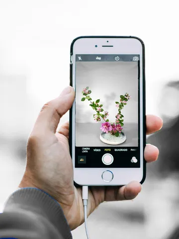 Hand holding smartphone showing flower photo.