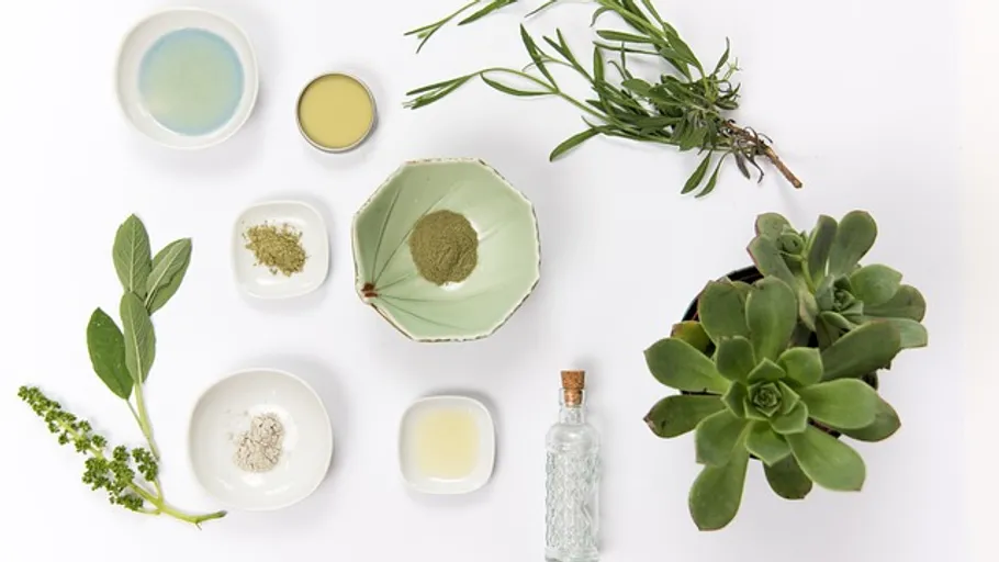 Herbs and powders arranged on white background.
