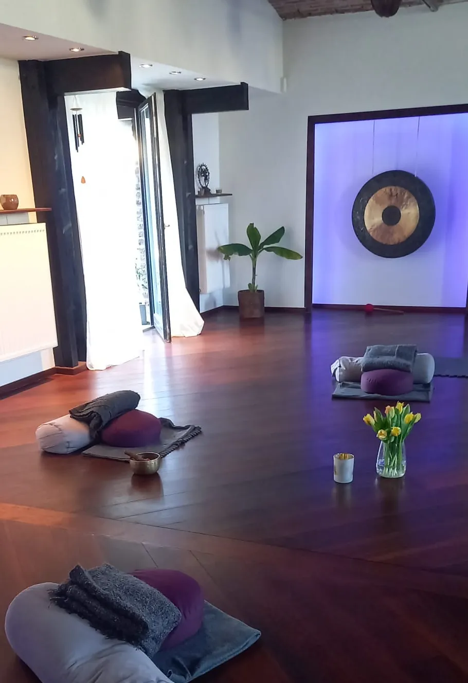 Meditation room with cushions, gong, and plants.