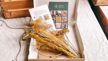Getrocknete Blumen und Broschüren in offener Schachtel.