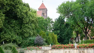 Church tower behind lush garden with flowers.