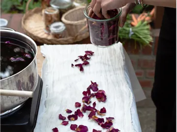 Rose petals are carefully spread out on a table.