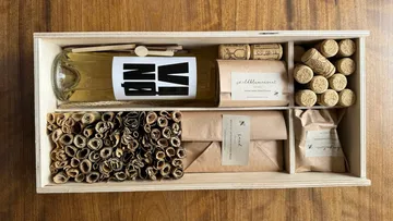 Wooden box with wine, corks, seeds, and packaging.