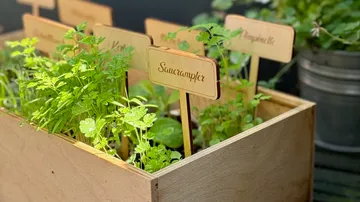 Herbs in a wooden box with labels.