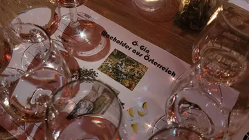 Gin-Gläser auf einem Verkostungsblatt.