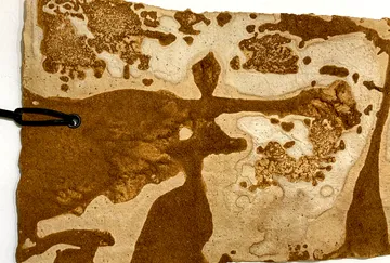 Brown and beige abstract texture with ring.