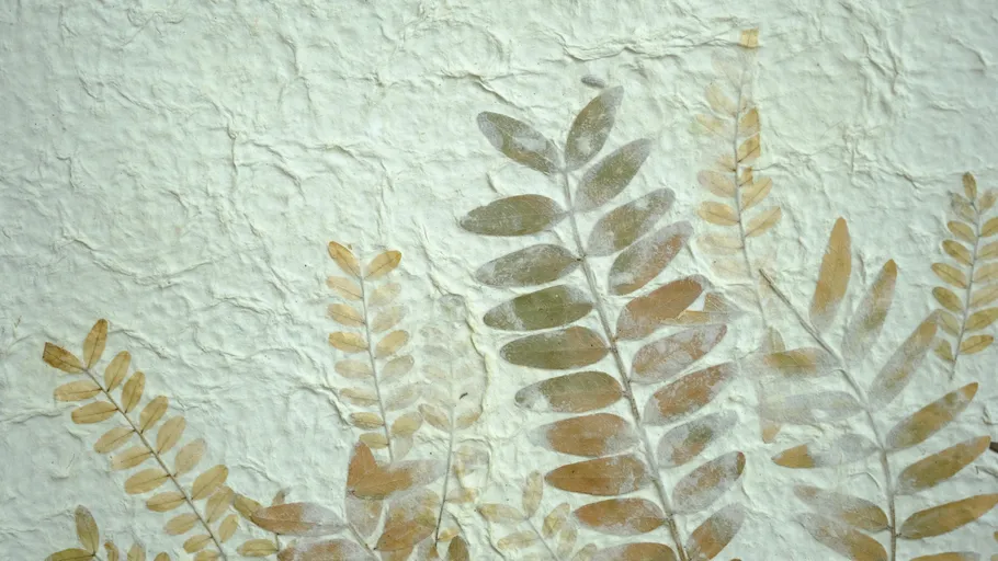 Pressed leaves on textured paper background.