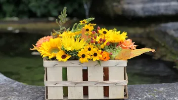 Korb mit gelben Blumen am Teich.