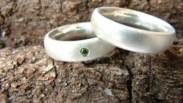 Zwei silberne Ringe auf Baumrinde.