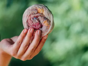 Hand holds a rolled up, colored fabric ball outdoors.