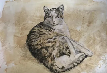 Cat lying on textured paper background.