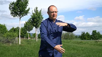 Mann übt Tai Chi auf Wiese.