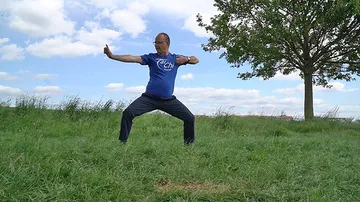 Mann übt Tai Chi auf Wiese.