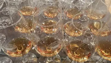 Multiple whisky glasses on a reflective surface.