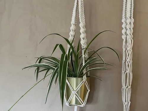 Hängender Blumentopf mit einer grünen Pflanze dekoriert an Wand.