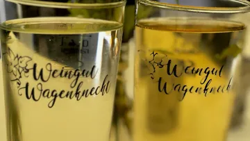 Zwei Weingläser mit 'Weingut Wagenknecht' Aufschrift.