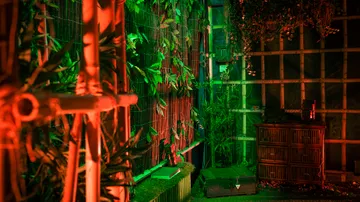 Room with plants and colorful lighting.