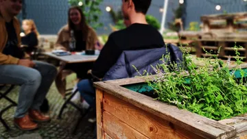 Plants in wooden box, people sitting outdoors.