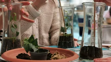 People arranging plants in glass containers indoors.