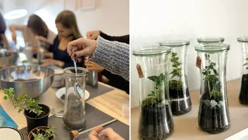 Hands assembling terrariums; completed terrariums displayed.