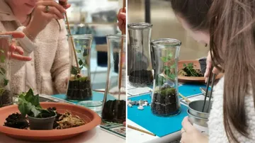 People creating terrariums in glass jars indoors.