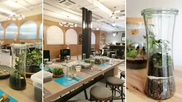 Terrariums on tables in a stylish café.