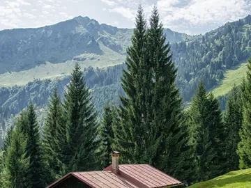 Holzhütte zwischen hohen Bäumen, umgeben von Bergen.