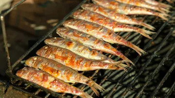 Gegrillter Fisch auf einem Grillrost angerichtet.