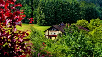Hotel surrounded by lush green forest.