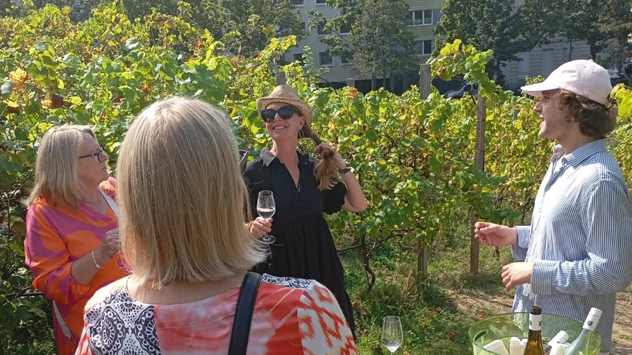 Group enjoys wine in vineyard setting.