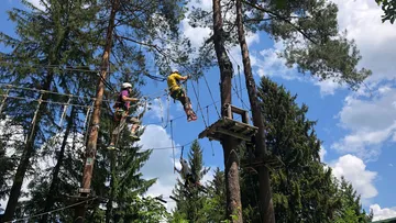 Two people navigate a ropes course in forest.