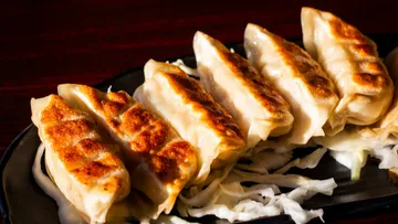 Six fried dumplings on dark plate, cabbage underneath.
