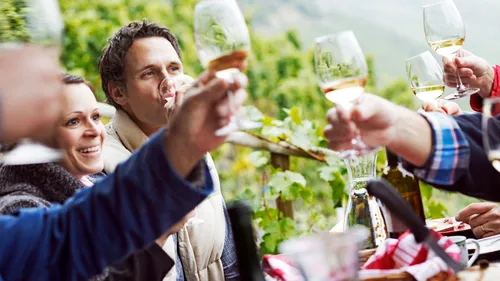 People toasting with wine glasses in vineyard.