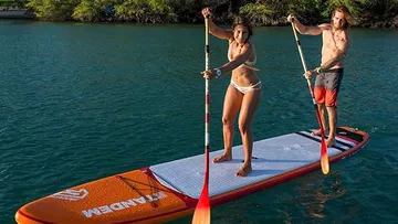 Two people paddleboarding on water.