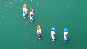 Five paddleboarders paddling on calm water.