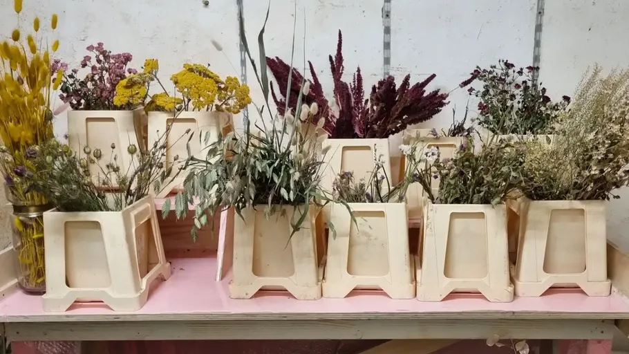 Getrocknete Blumen in weißen Behältern.