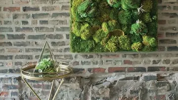 Mooskunst und Terrarium an Ziegelwand.