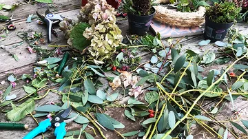Gartenwerkzeuge und Pflanzen auf Holztisch.