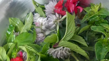 Flowers and leaves soaking in water in bowl.