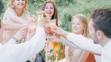 Gruppe von Freunden stößt bei Außenparty an.