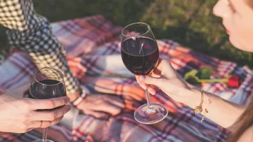 Two glasses of wine at picnic.