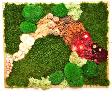 Colorful flowers arranged on green moss wall.