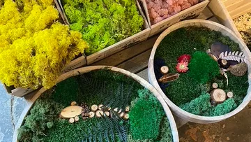 Colorful moss and decor in wooden trays.