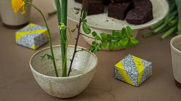 Pflanze in Keramiktopf neben verpackten Würfeln und Brownies.