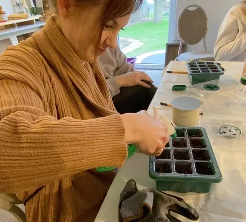 Woman watering seedlings indoors at a table.