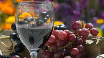 Glas Rotwein mit Trauben, blumiger Hintergrund.