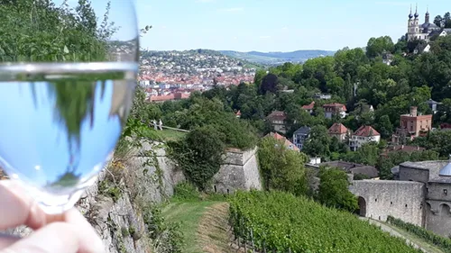 Wine glass, landscape with vineyards and town.